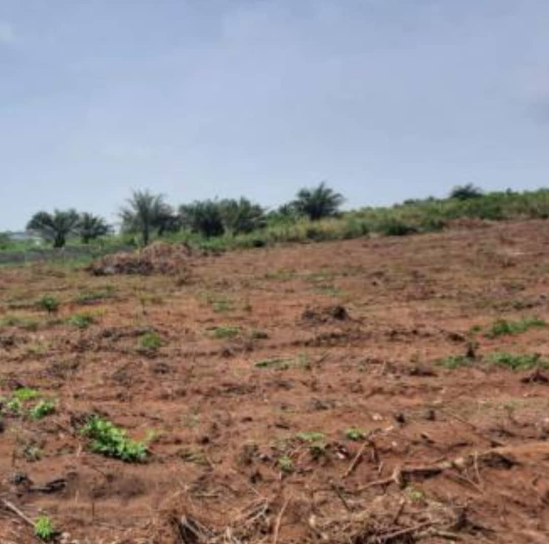 500sqm Residential Land in Gateway Villas, Kyami for Sale