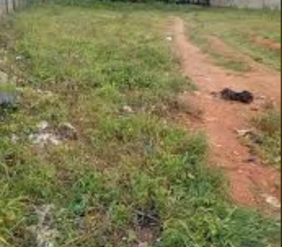 5058Sqm MIxed-use Land for Sale in Jahi