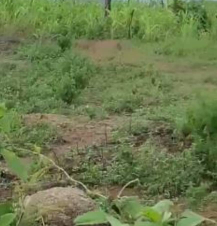 1.18 Hectares Residential Land for Sale in Wasa
