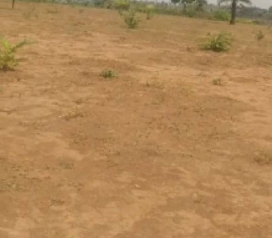 2.20 Hectares Commercial Land for Sale in Katampe