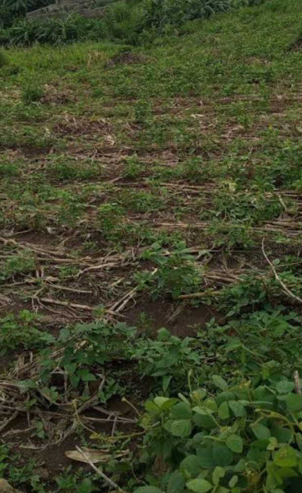1237.67Sqmm Residential Land for Sale in Apo Dutse