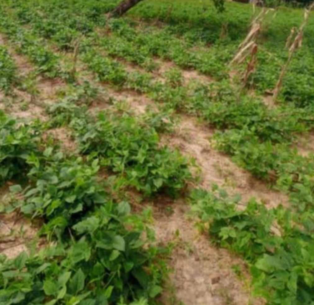 2373.34Sqm Residential Land for Sale in Orozo