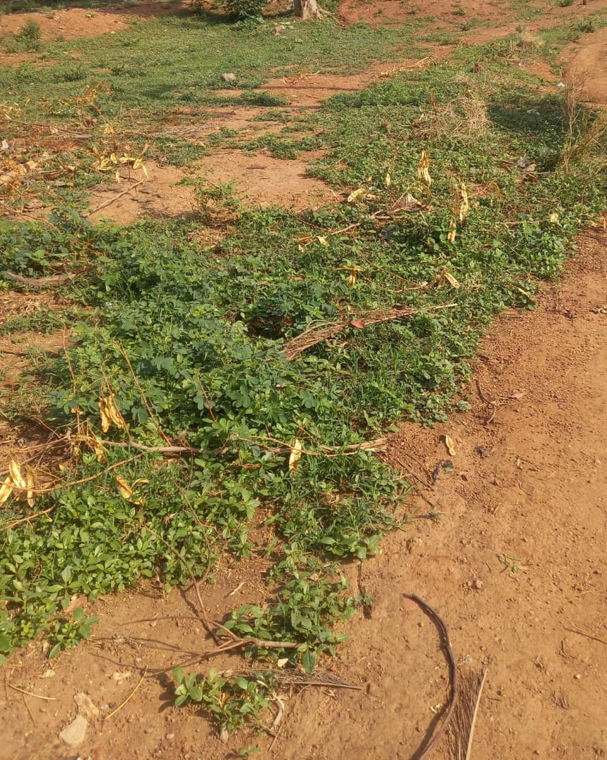 1862Sqm Residential Land for Sale in Jabi