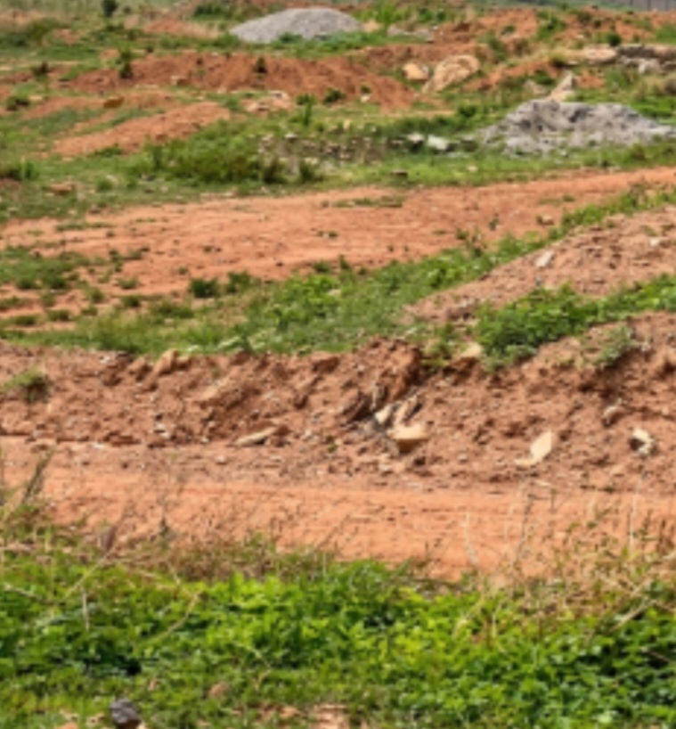 4850Sqm Residential Land For Sale in Carraway Dallas