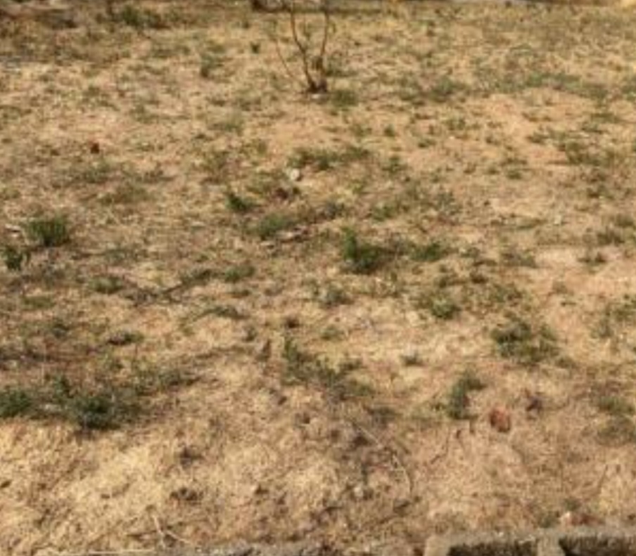 7467Sqm Commercial Land For Sale in Kyami