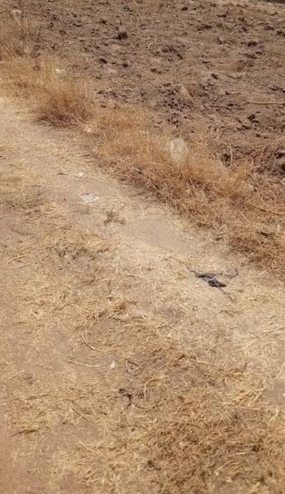 1100Sqm Residential Land For Sale In Dape