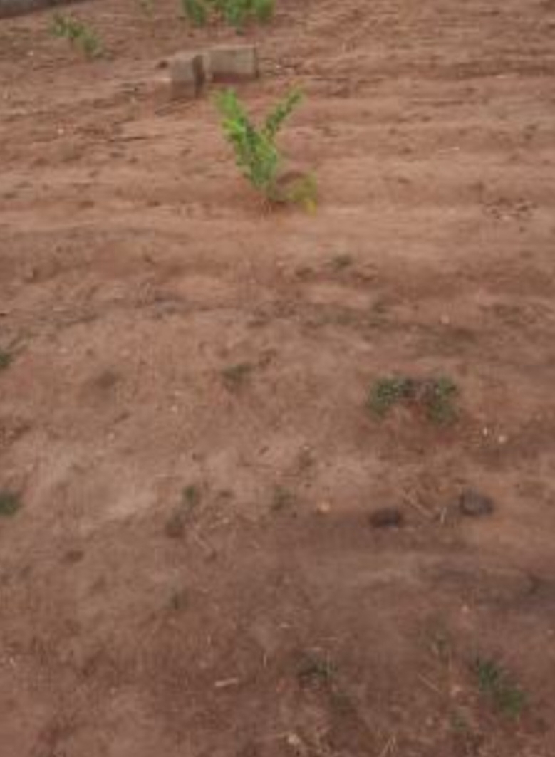 1516.18sqm Residential Land for Sale in Kyami
