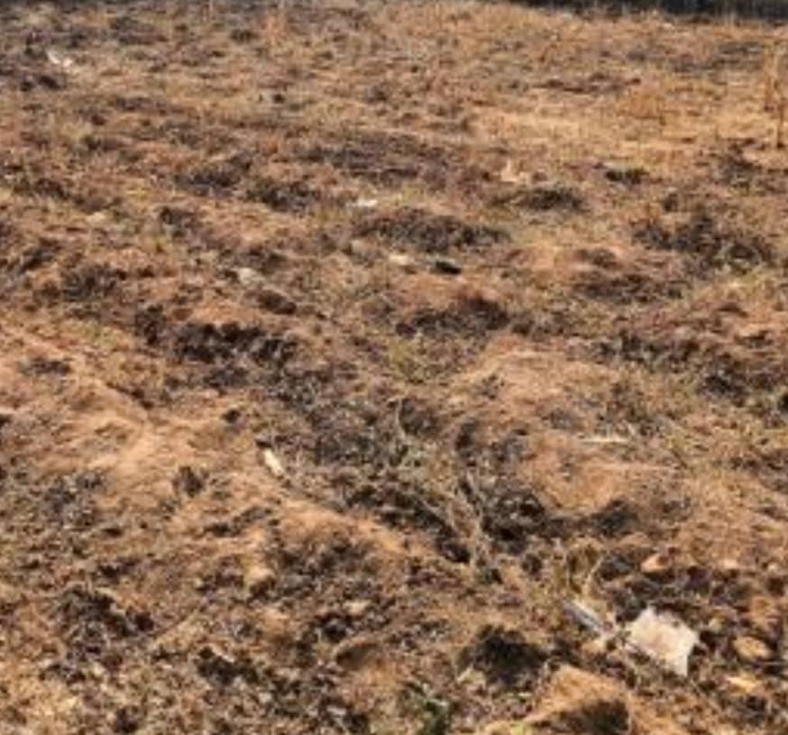 701.14Sqm Residential Land for Sale in Katampe 