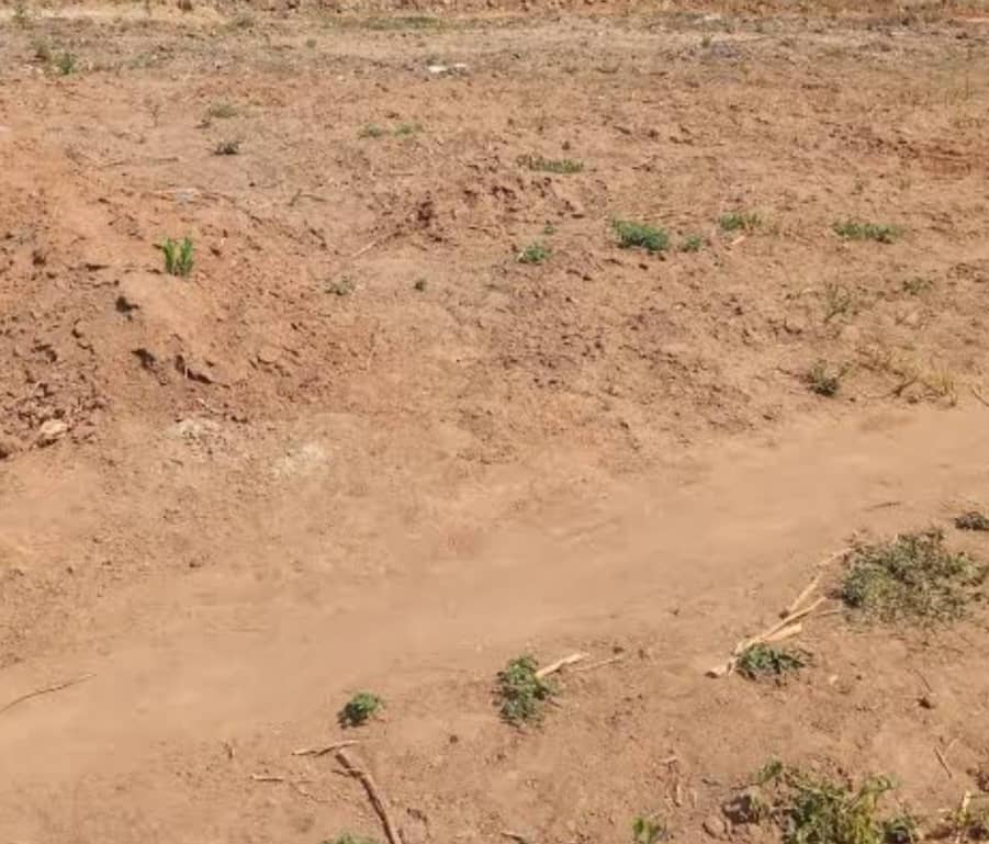 1310.34Sqm Residential Land For Sale in Katampe 