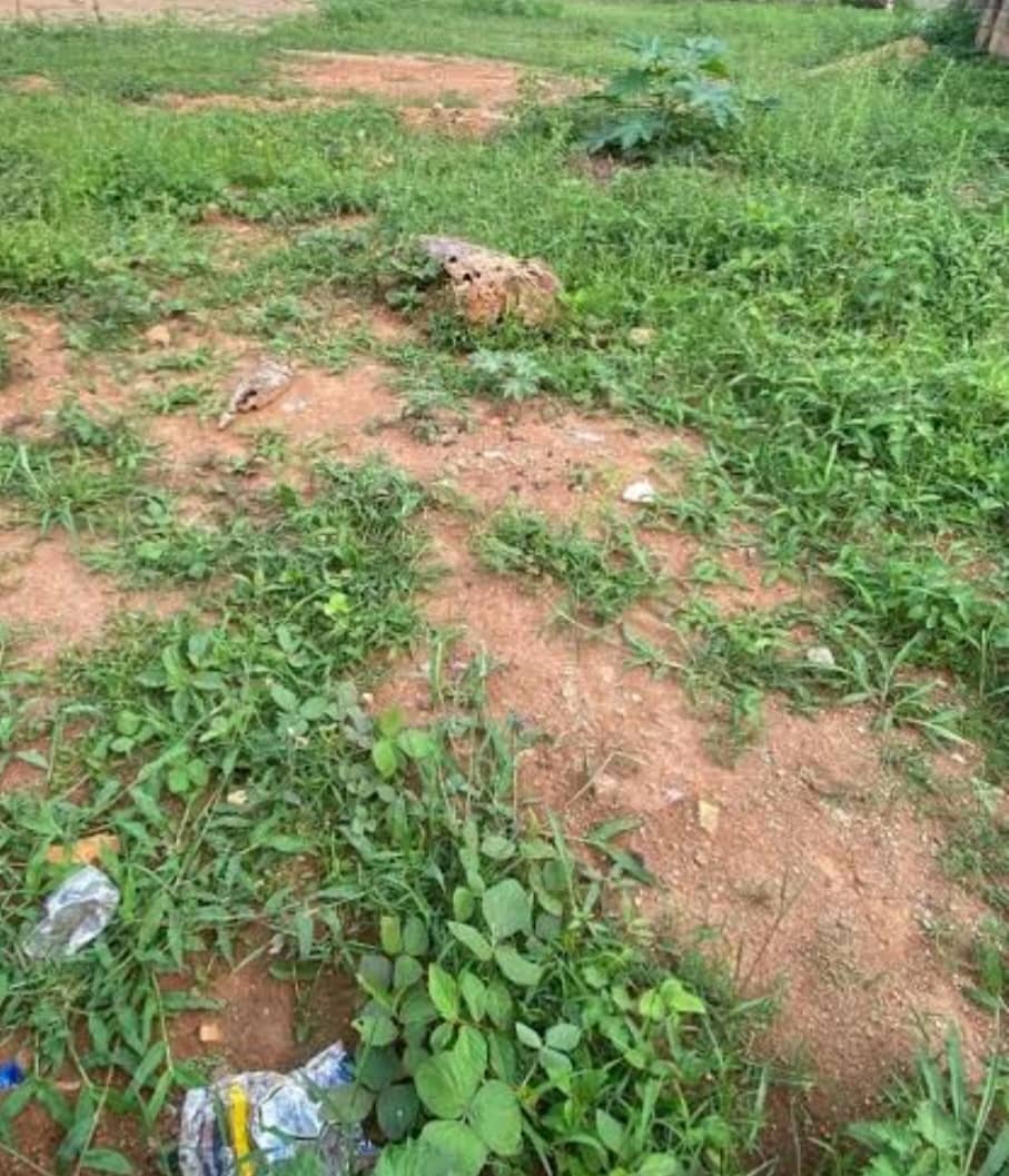 2521.22Sqm Residential Land For Sale in Katampe