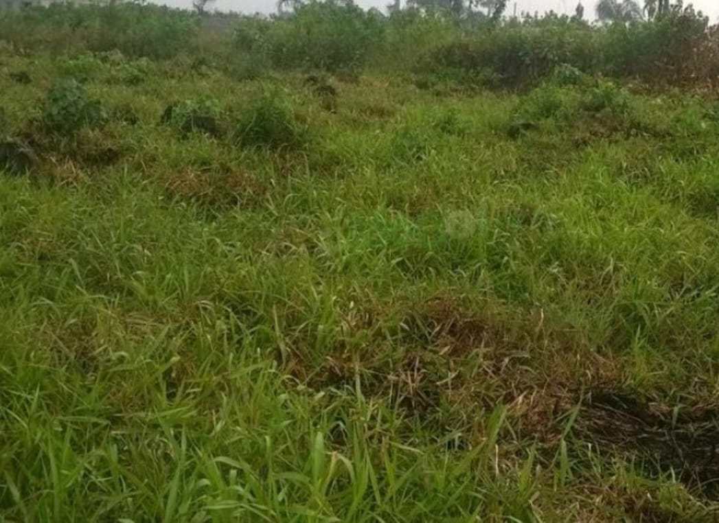 5279Sqm Mixed-Use Land For Sale in  River Park Estate Lugbe