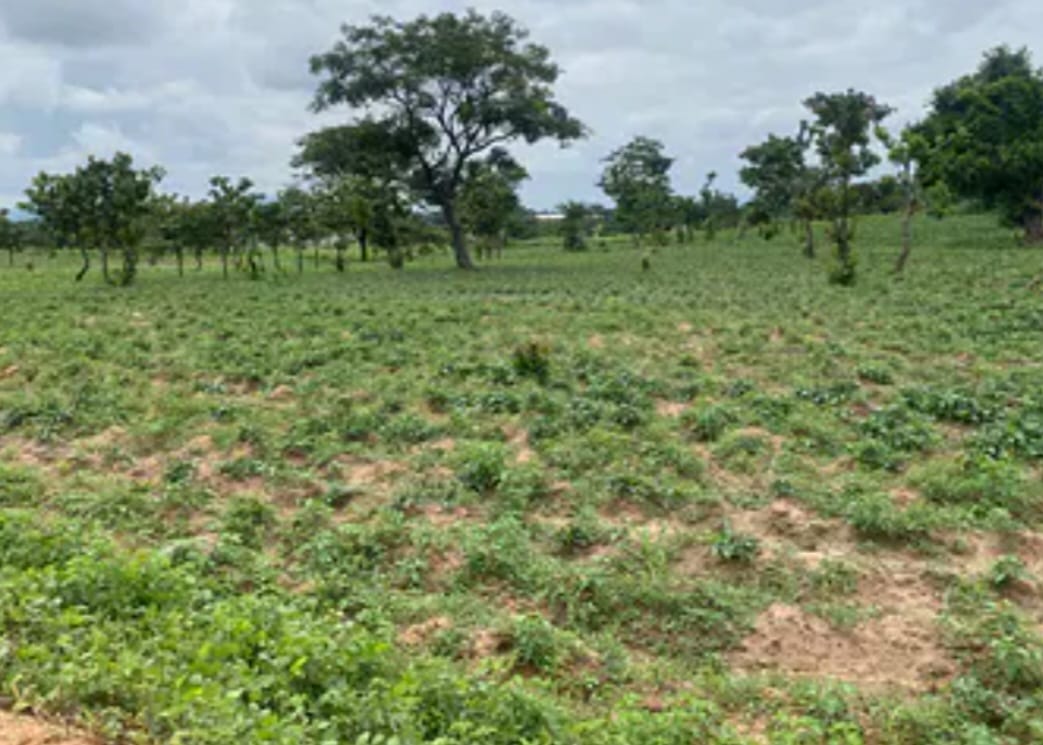 1.06 Hectares Industral Land For Sale in Idu 