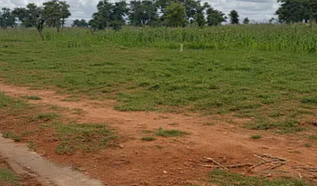 1.19 Hectares Mixed-Use Land For Sale in Durumi