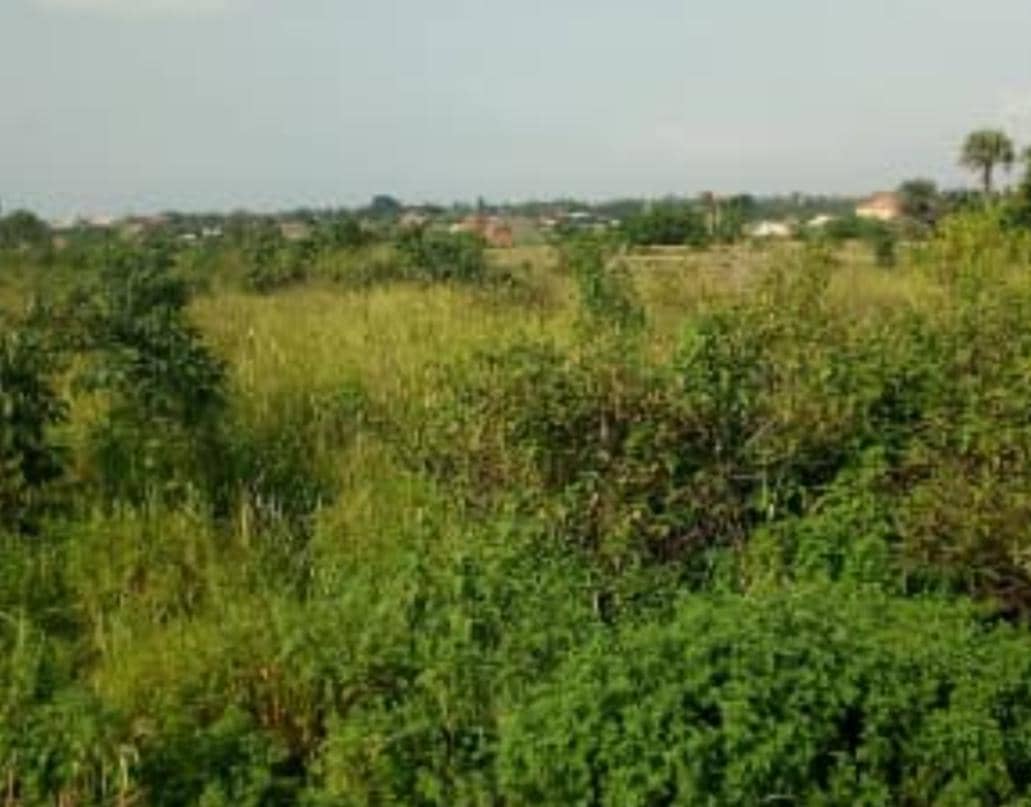 3189sqm Commercial Land for Sale in Apo Tafyi, Guzape 11