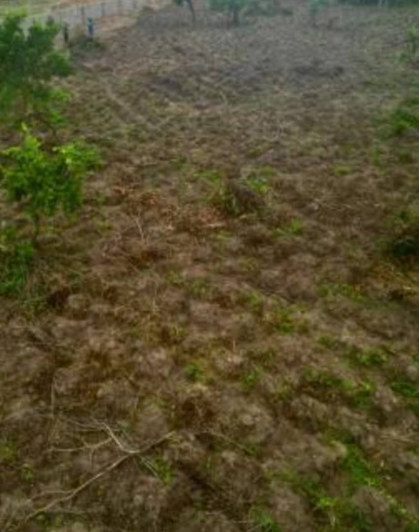1.24 Hectares Commercial Land for Sale in Kyami 