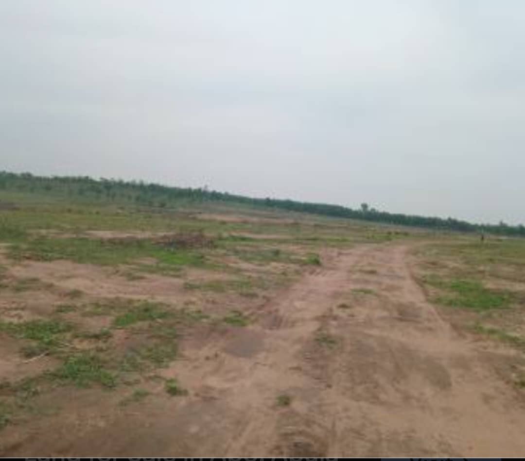 200sqm Residential Land In Apo - Tayfi For Sale