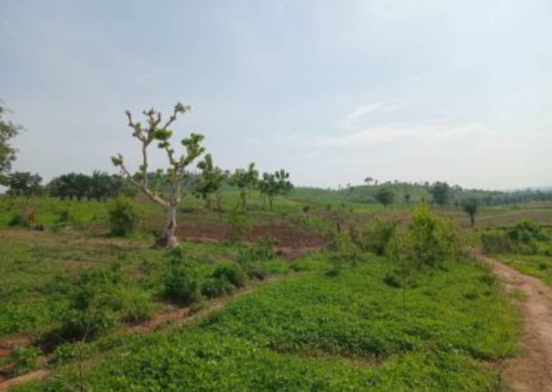 500sqm Residential Land for Sale in Nest Residences-Kuje  (Phase 1)