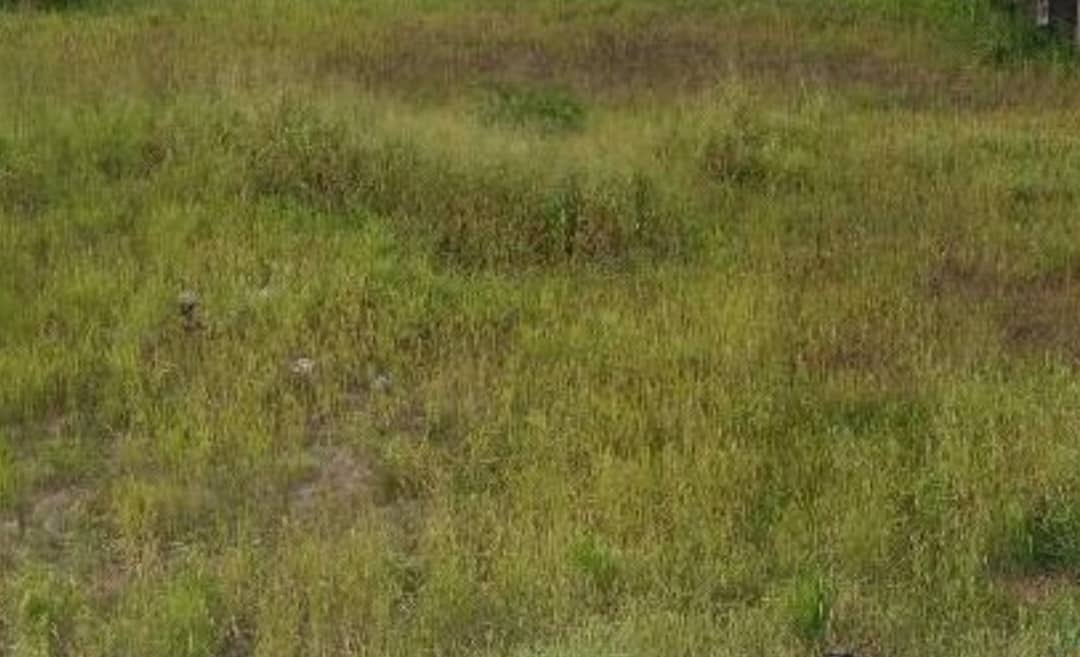 500sqm Residential Land in Apo - Gude for Sale