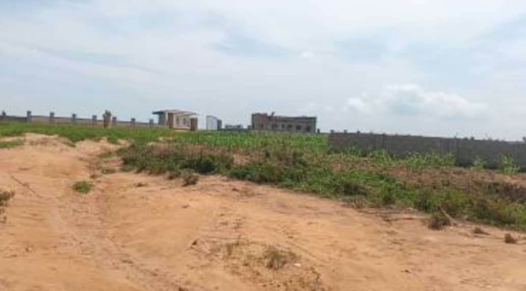 1200sqm Residential Land for Sale in Aviation Village